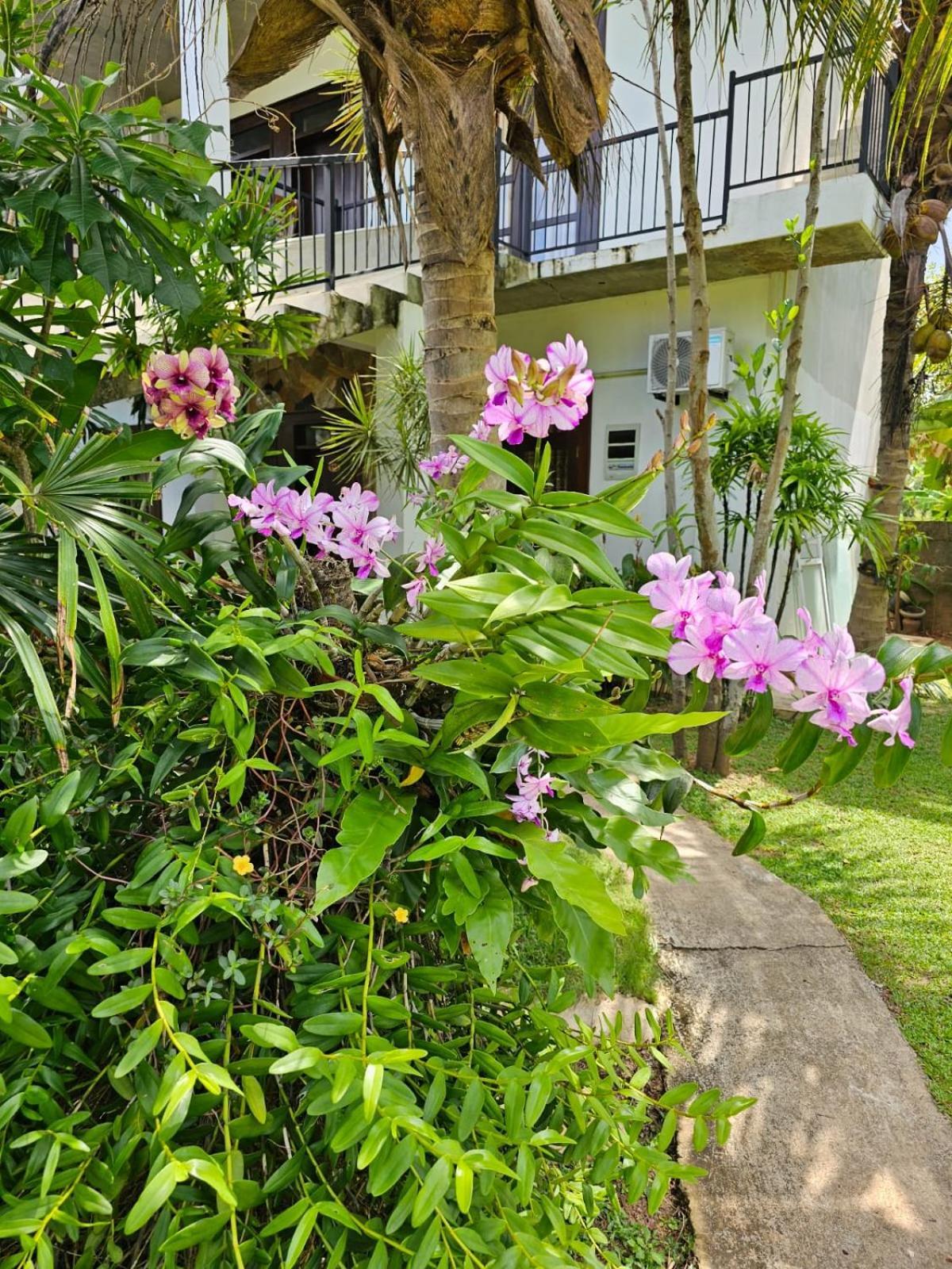 Optimum Residencies Bed & Breakfast Negombo Dış mekan fotoğraf